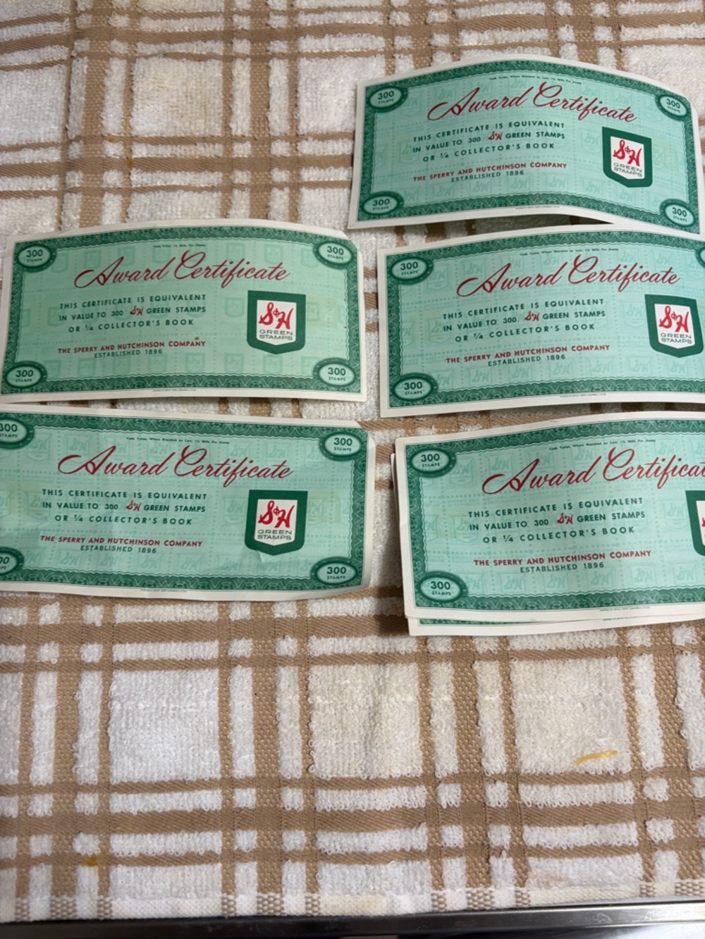 Vintage Green Award Certificate Pack - Home Other